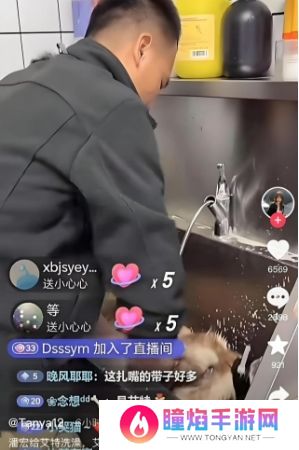 训狗一哥潘宏又出事，要求主人签“天价合同”，网友：这波站潘宏