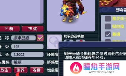 梦幻西游坐骑怎么快速升级