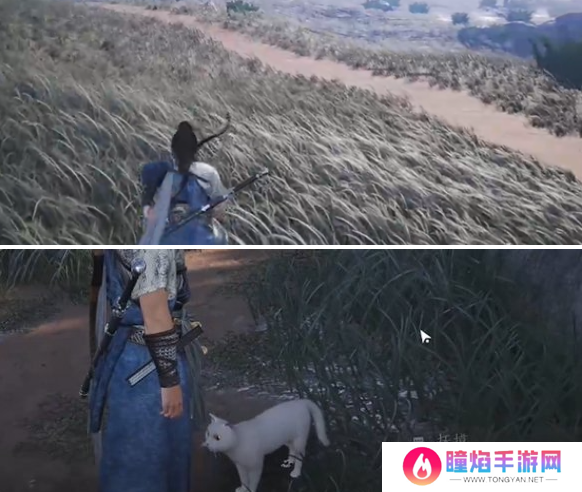 燕云十六声七阀坡猫咪在哪里