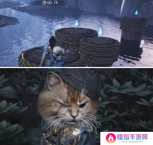 燕云十六声七阀坡猫咪在哪里