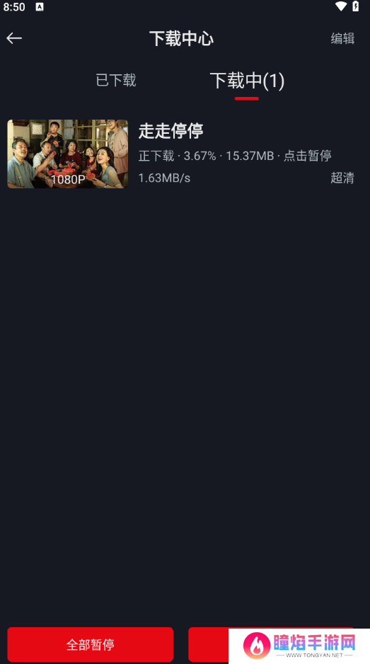 网飞猫
