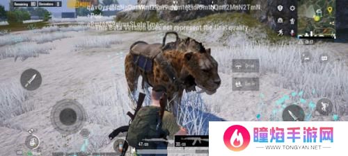pubg国际服