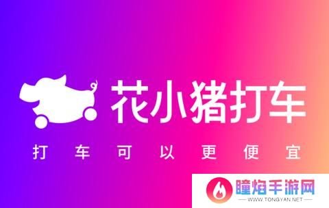 花小猪